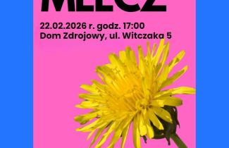 Spektakl dla dorosłych "Mlecz" - Teatr SAFO